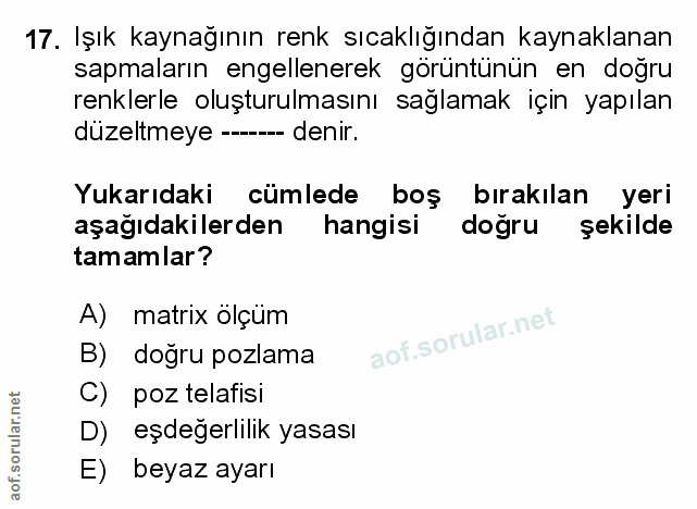 Soru 17
