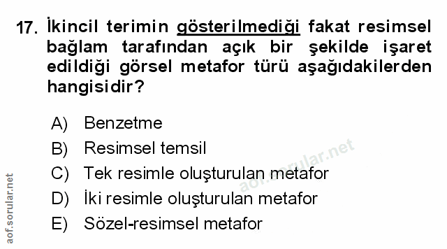 Soru 17