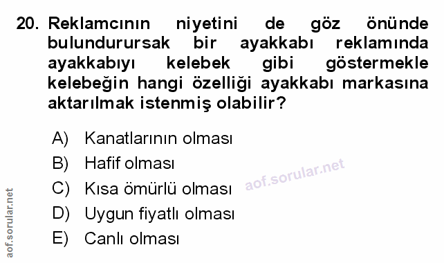 Soru 20