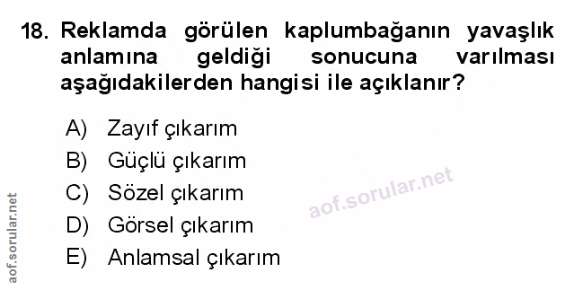 Soru 18