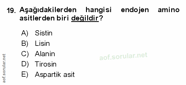 Soru 19
