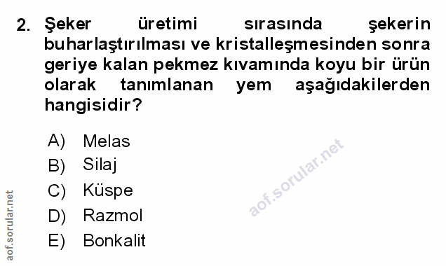 Soru 2