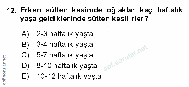 Soru 12
