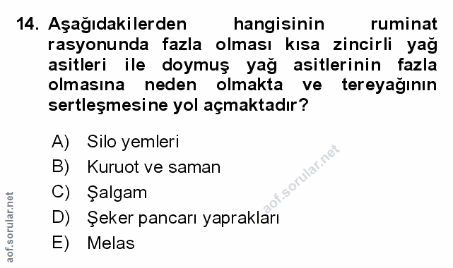 Soru 14