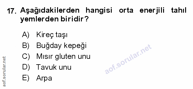 Soru 17