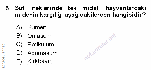 Soru 6