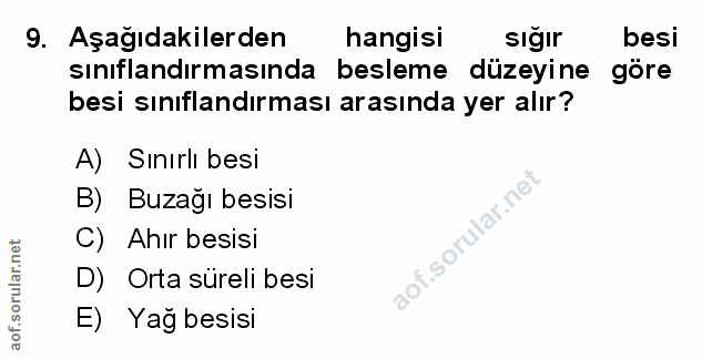 Soru 9