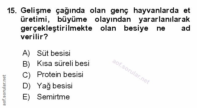 Soru 15