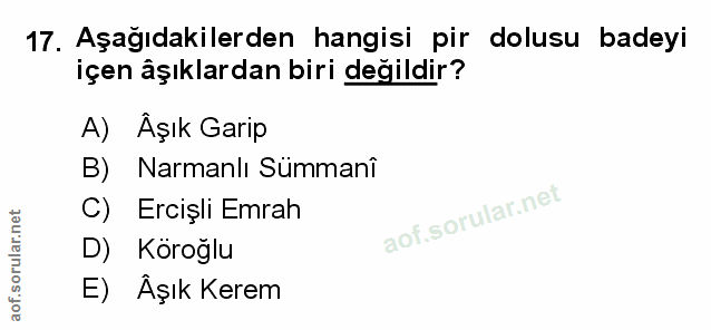 Soru 17