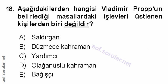 Soru 18