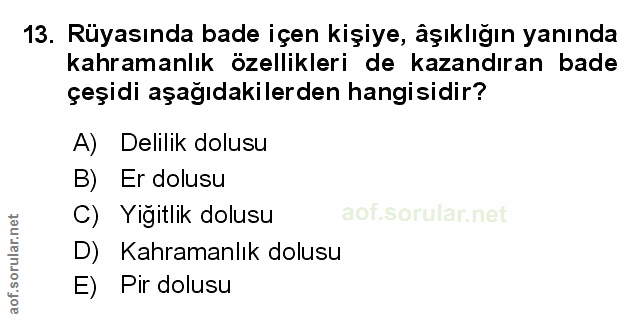 Soru 13
