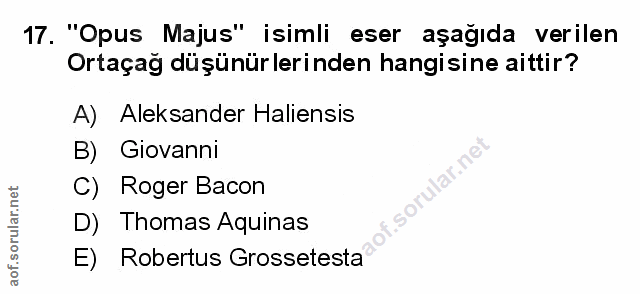 Soru 17
