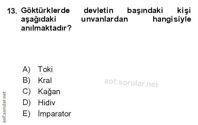 Soru 13
