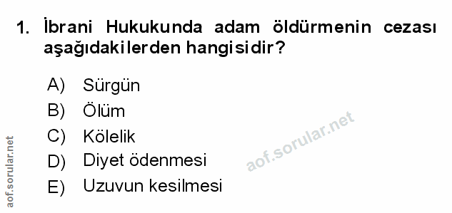 Soru 1