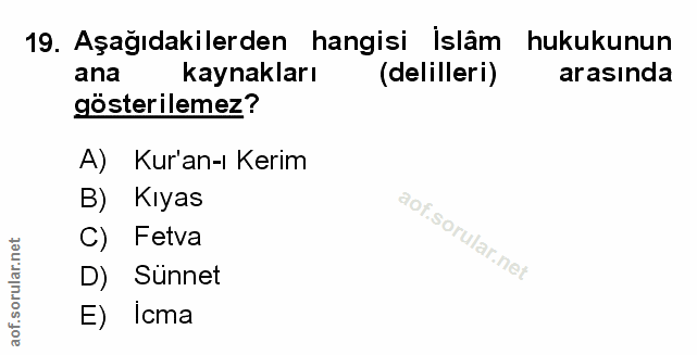 Soru 19