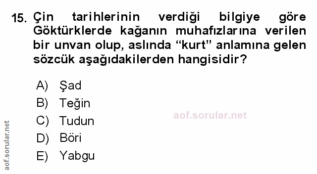 Soru 15