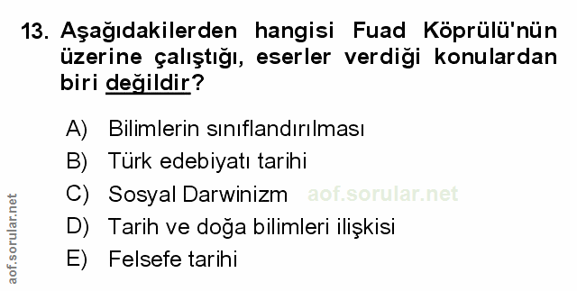 Soru 13