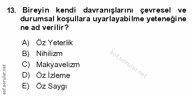 Soru 13