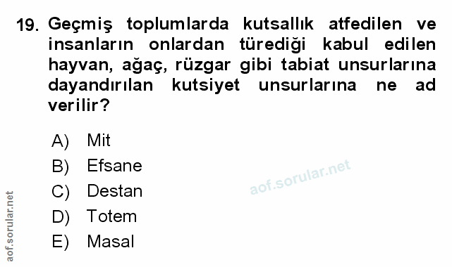 Soru 19