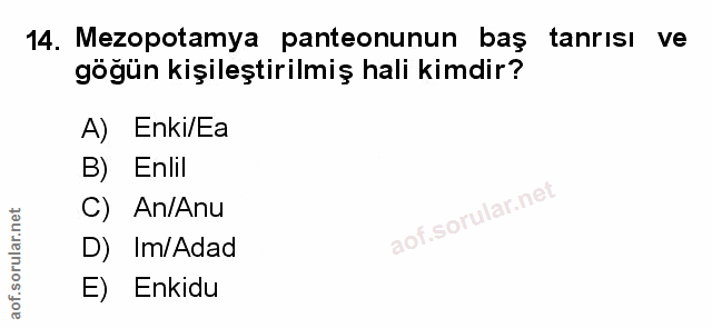 Soru 14