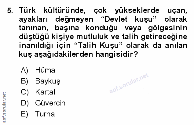 Soru 5