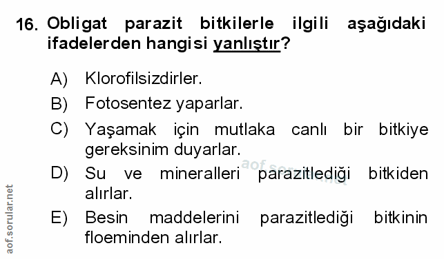 Soru 16