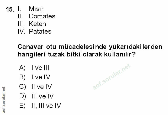Soru 15
