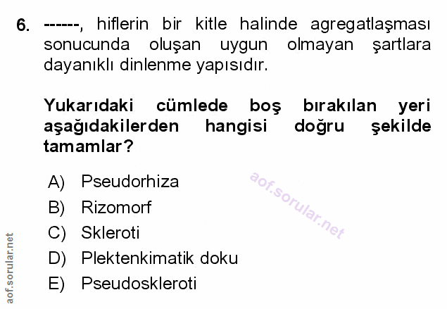 Soru 6