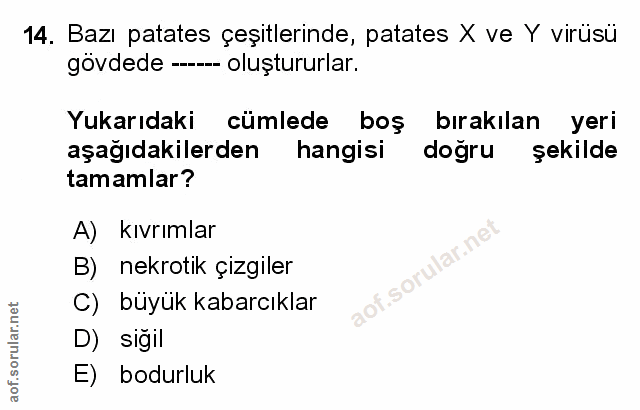 Soru 14