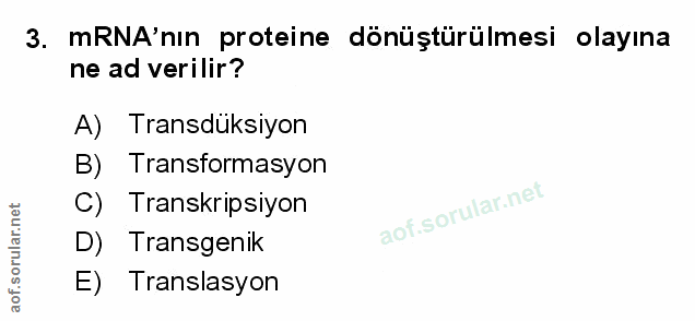 Soru 3