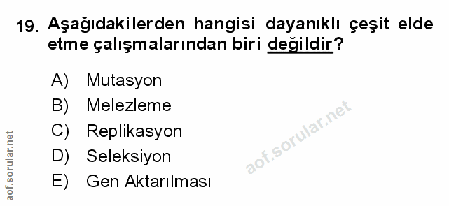 Soru 19