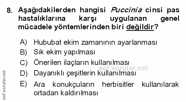 Soru 8