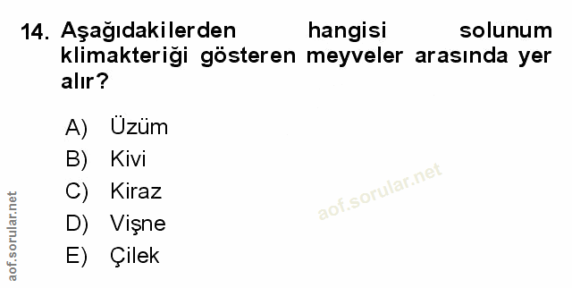 Soru 14