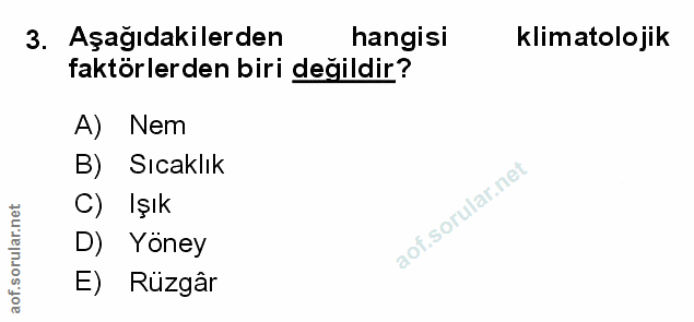 Soru 3