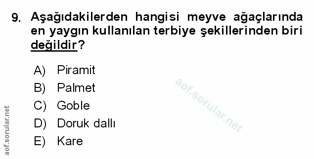 Soru 9