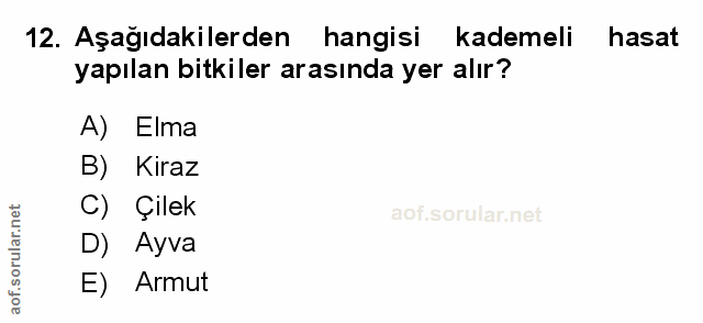 Soru 12