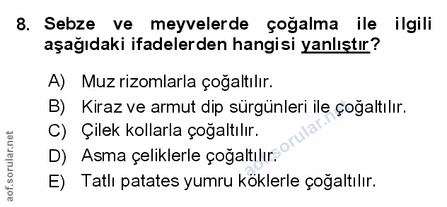 Soru 8