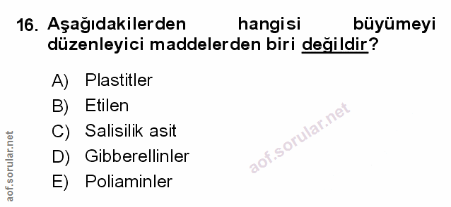 Soru 16