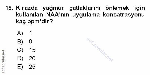 Soru 15