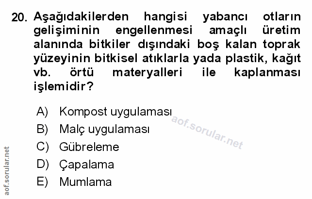 Soru 20