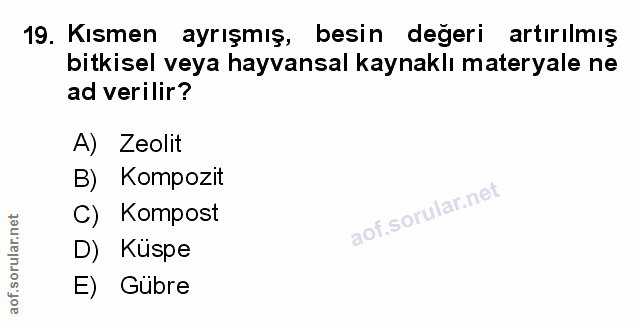 Soru 19
