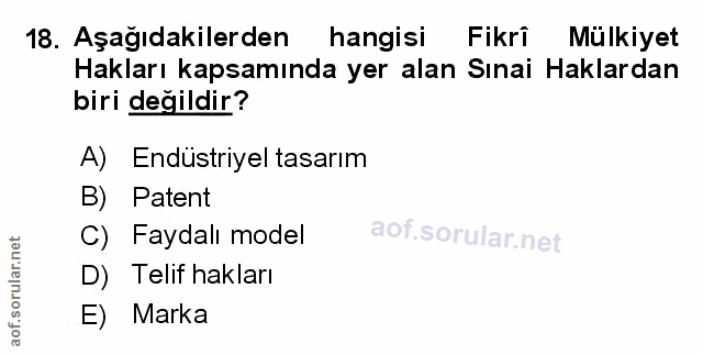 Soru 18