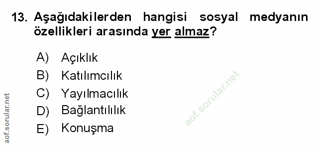 Soru 13