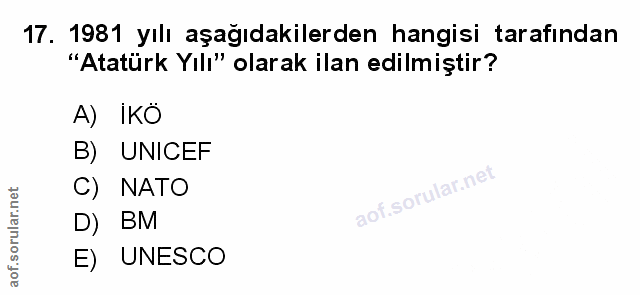Soru 17