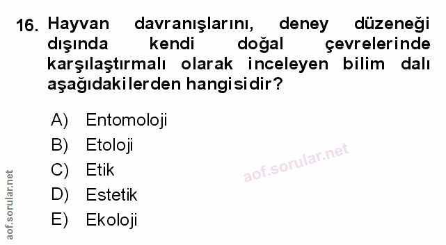 Soru 16