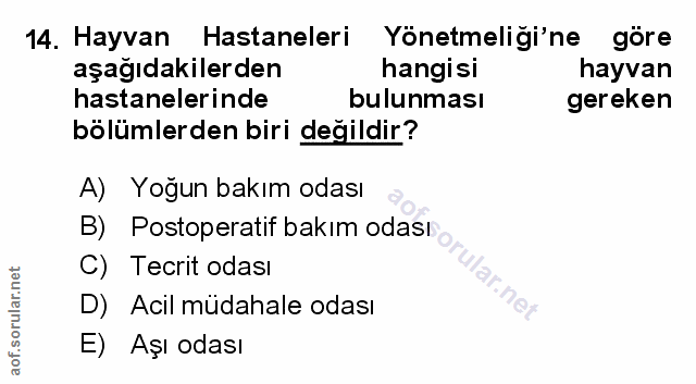Soru 14