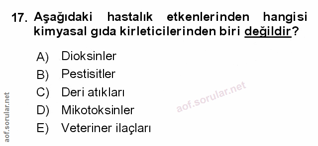Soru 17