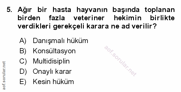 Soru 5