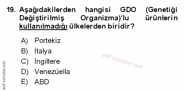Soru 19