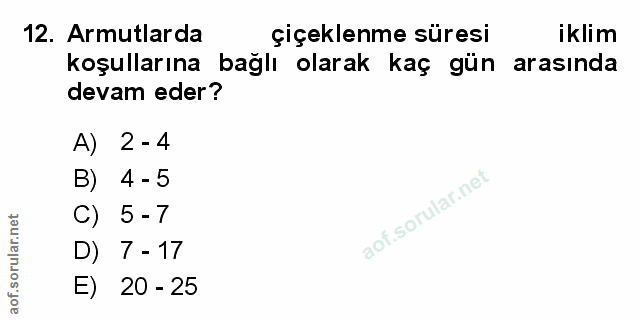 Soru 12